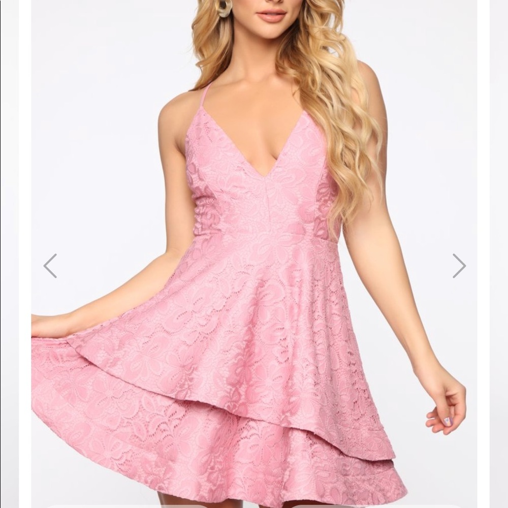 Detail Oriented Embroidered Lace Mini Dress - Rose